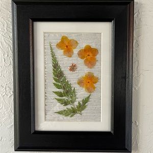 Dried Pressed Framed Orange violets with Dried Fern